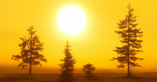 Onda de calor