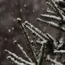 Tempo frio