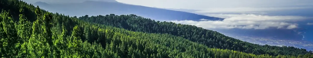 Tenerife tempo